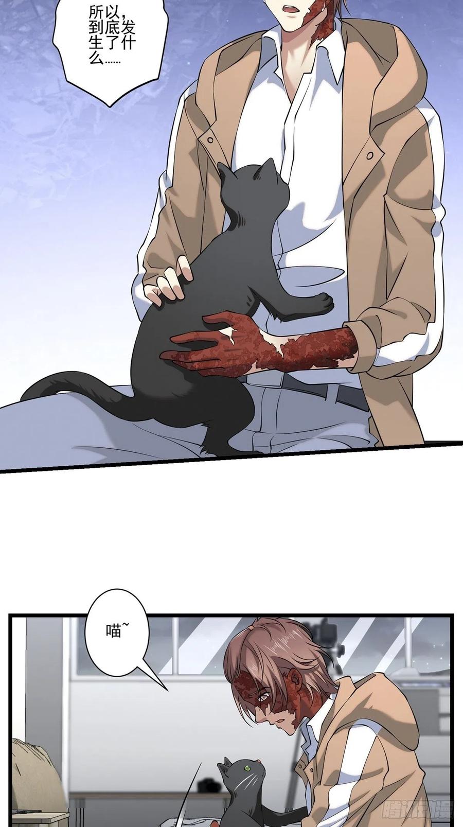 猫灵356