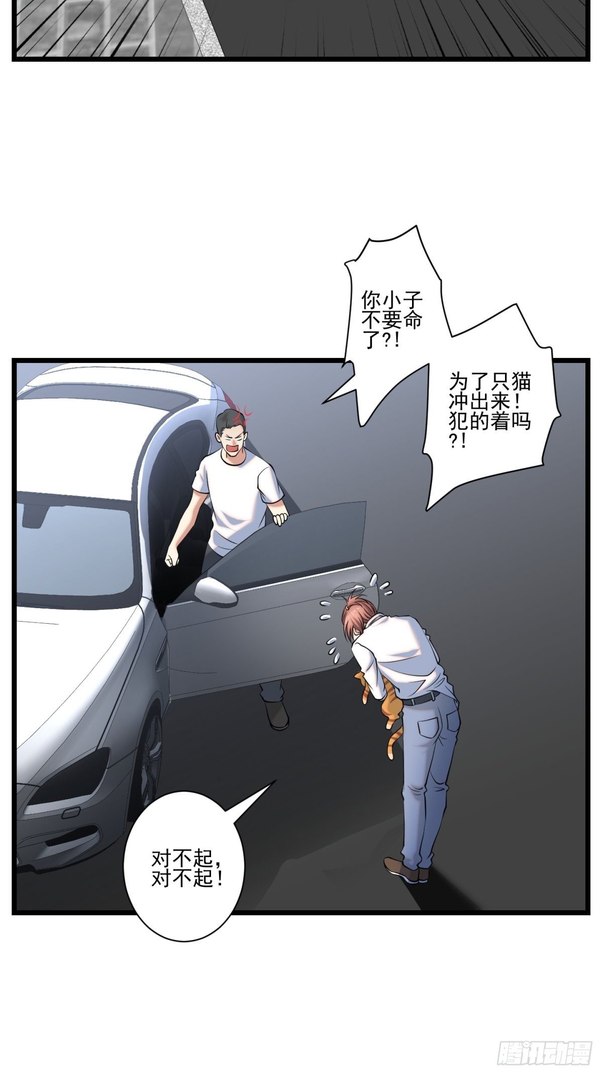 猫灵117