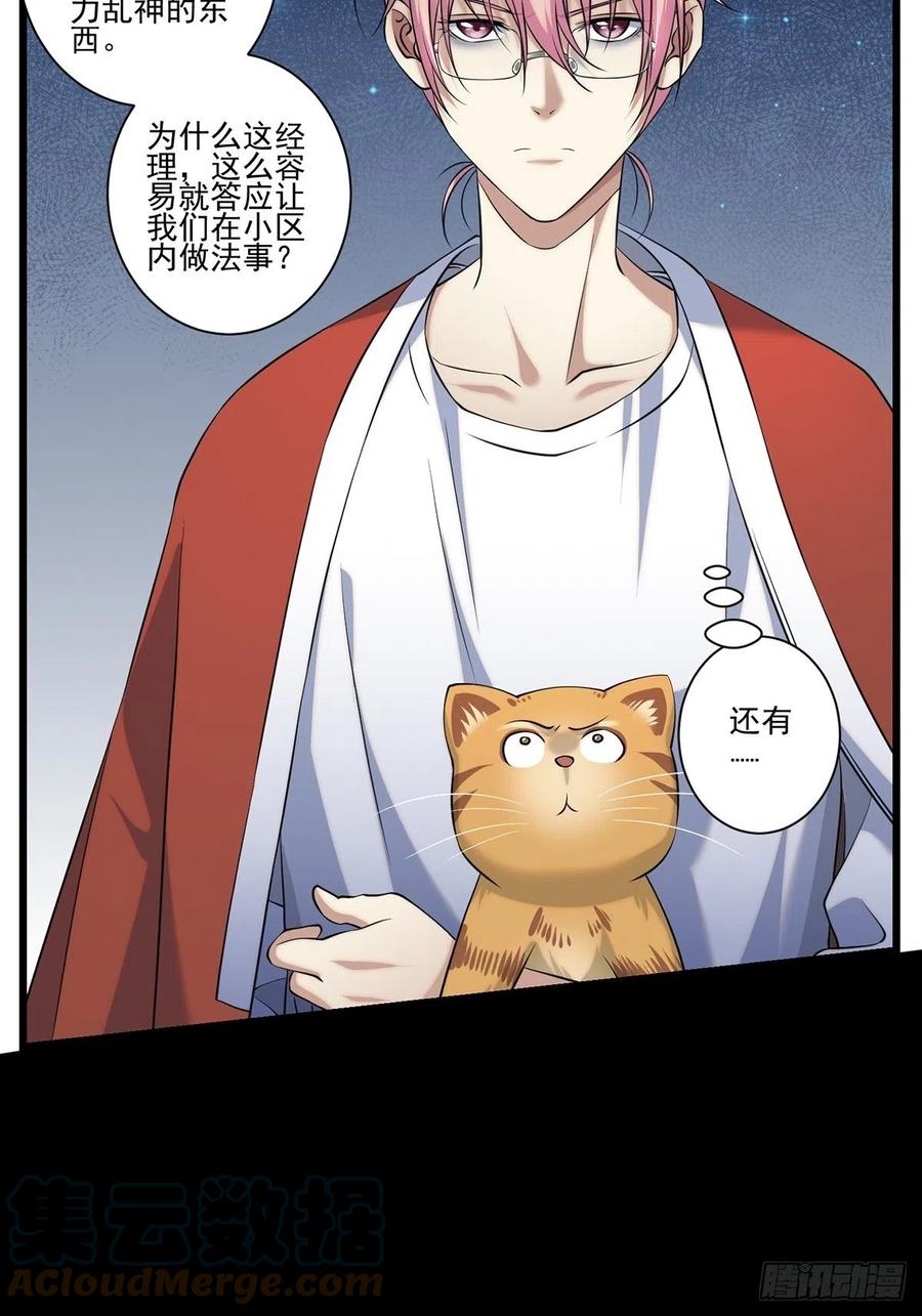 猫灵233