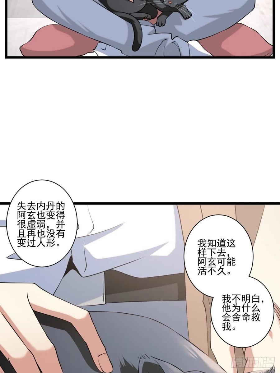 猫灵752