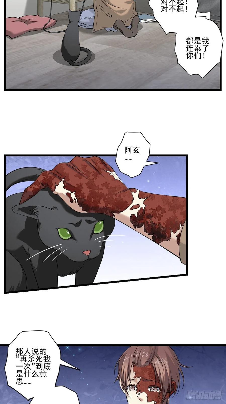 猫灵355