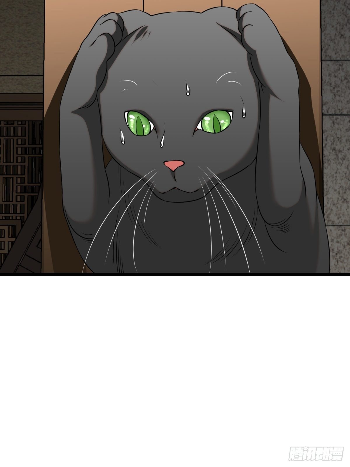 猫灵865