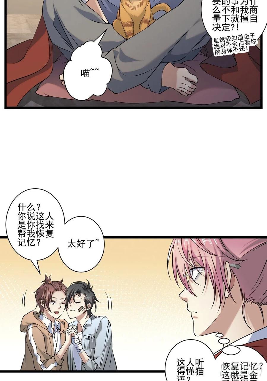 猫灵25
