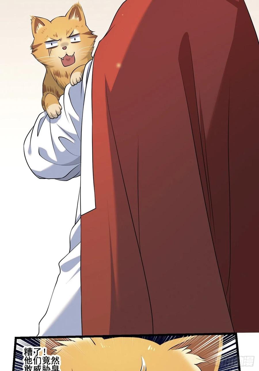 猫灵210