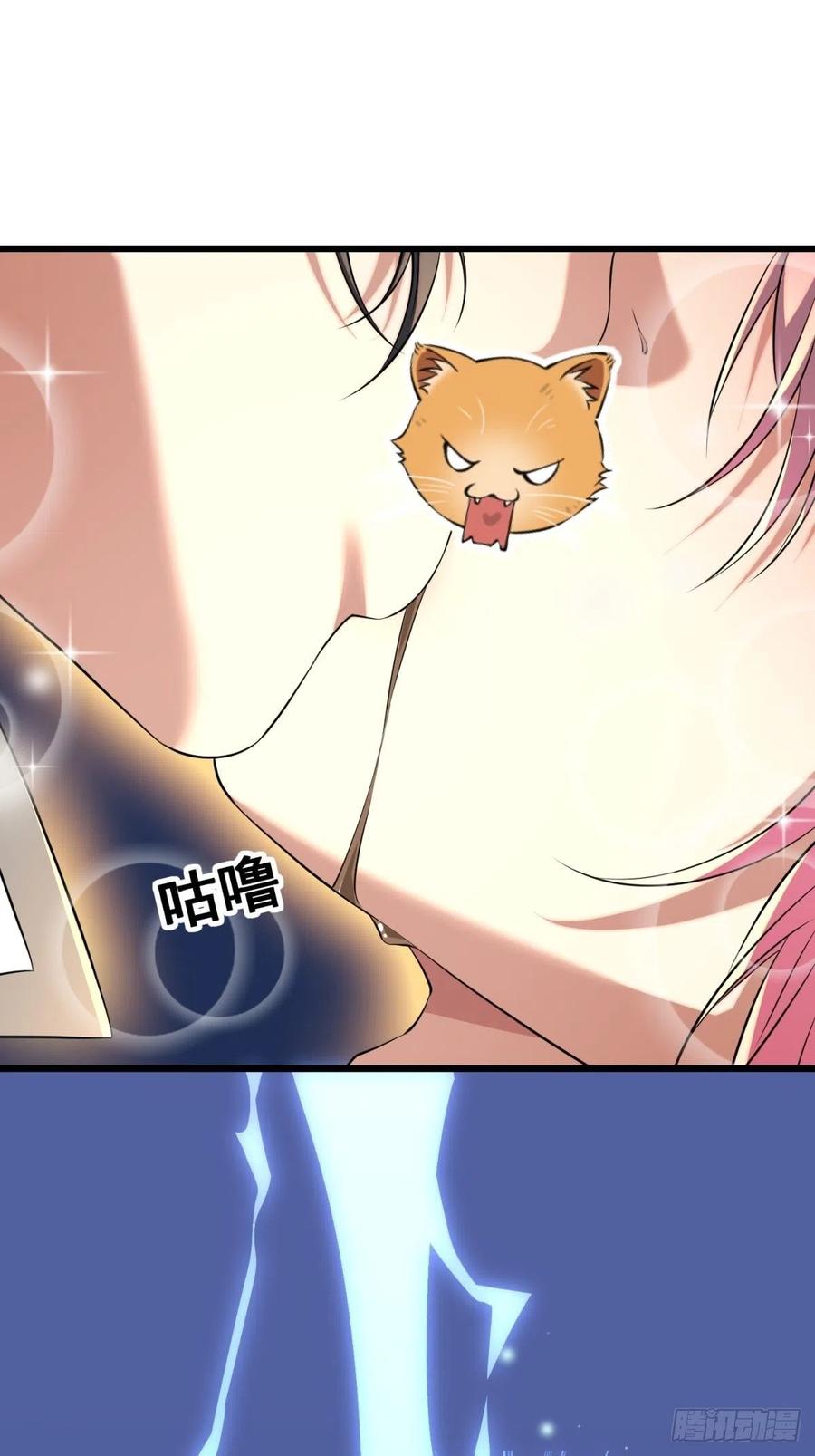 猫灵1565