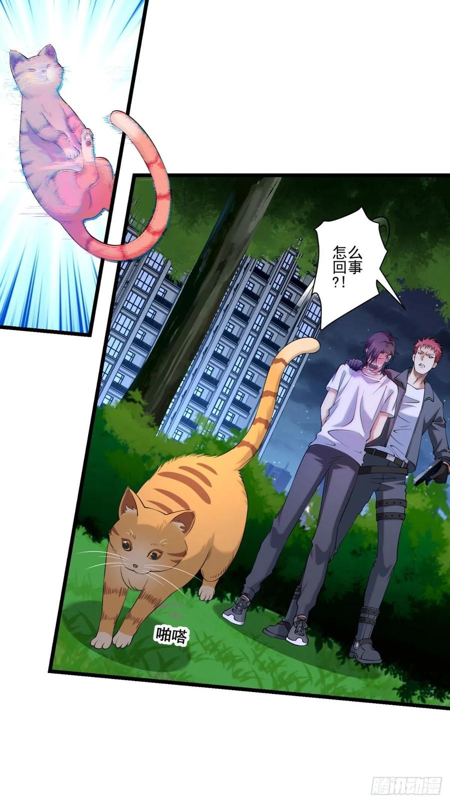 猫灵631
