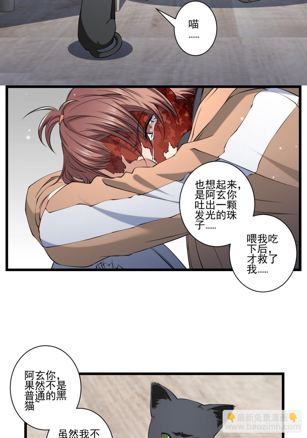 猫灵53