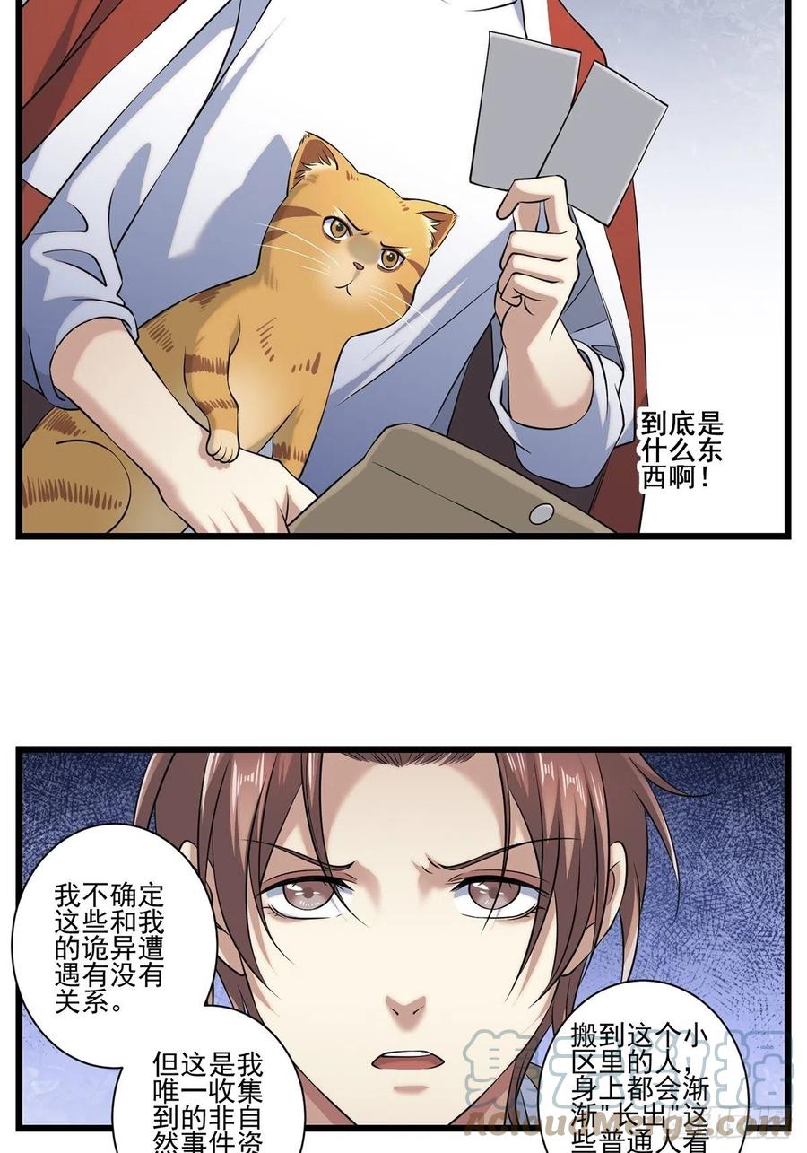 猫灵224