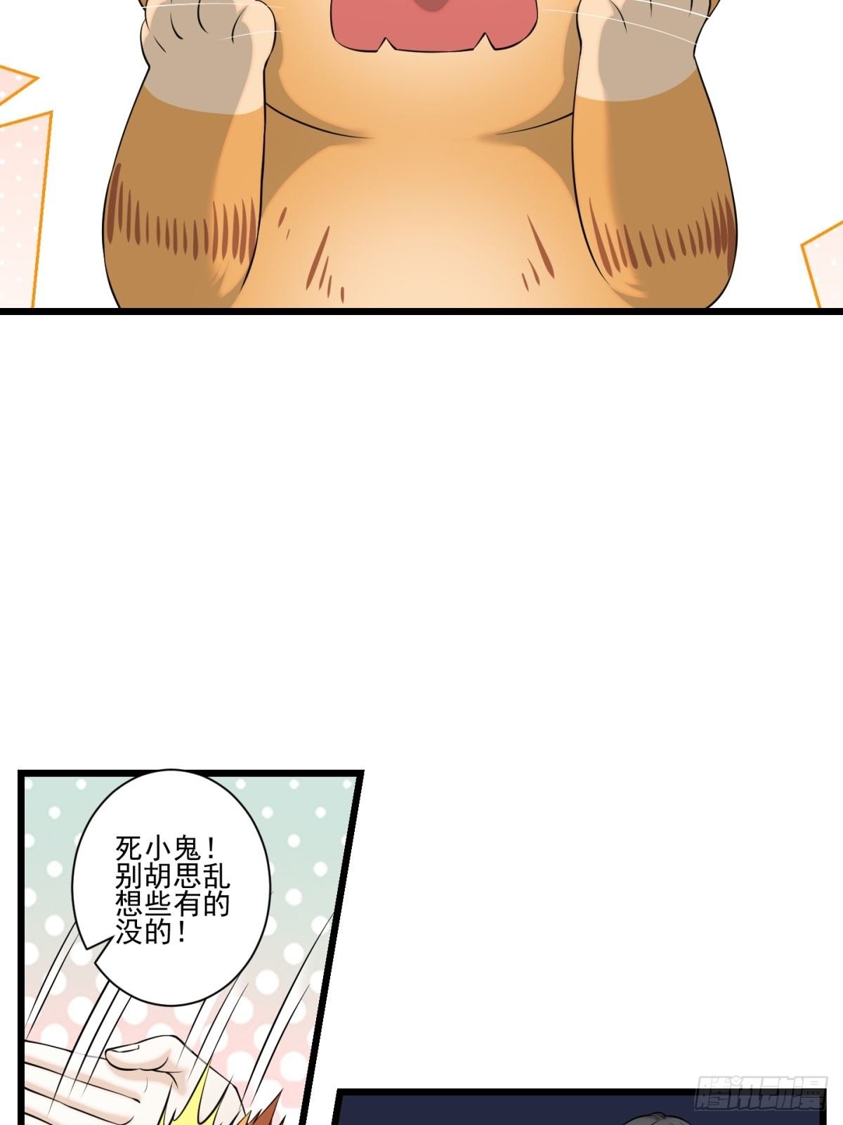 猫灵526