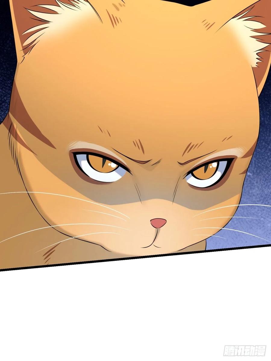 猫灵622