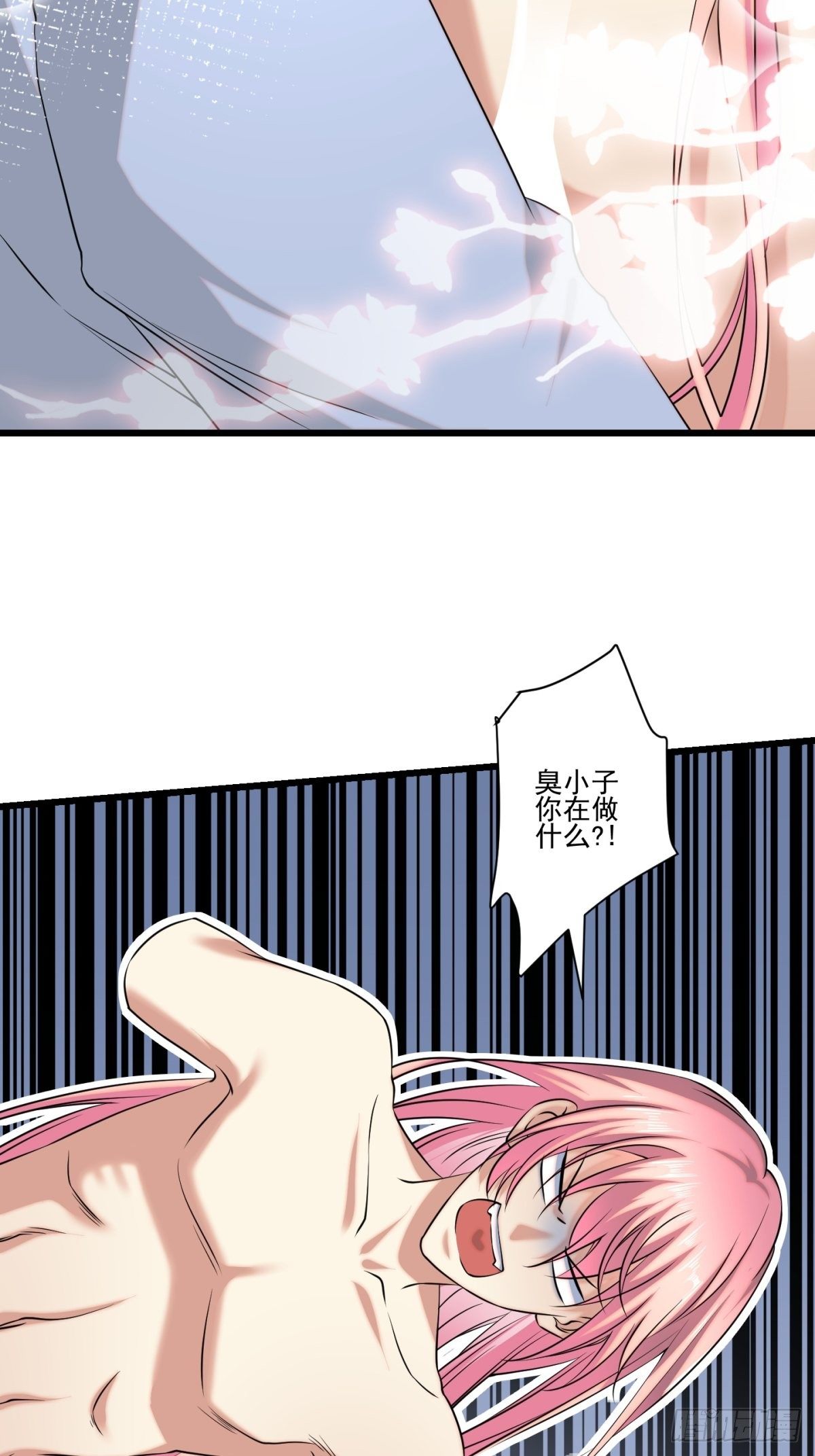猫灵1147