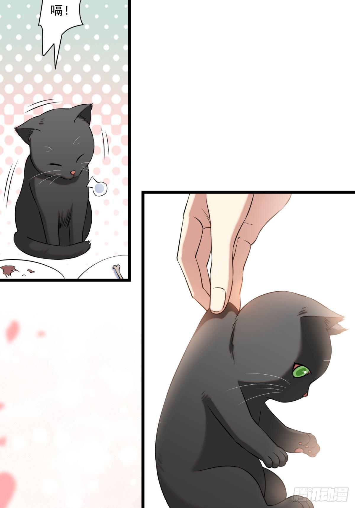 猫灵89