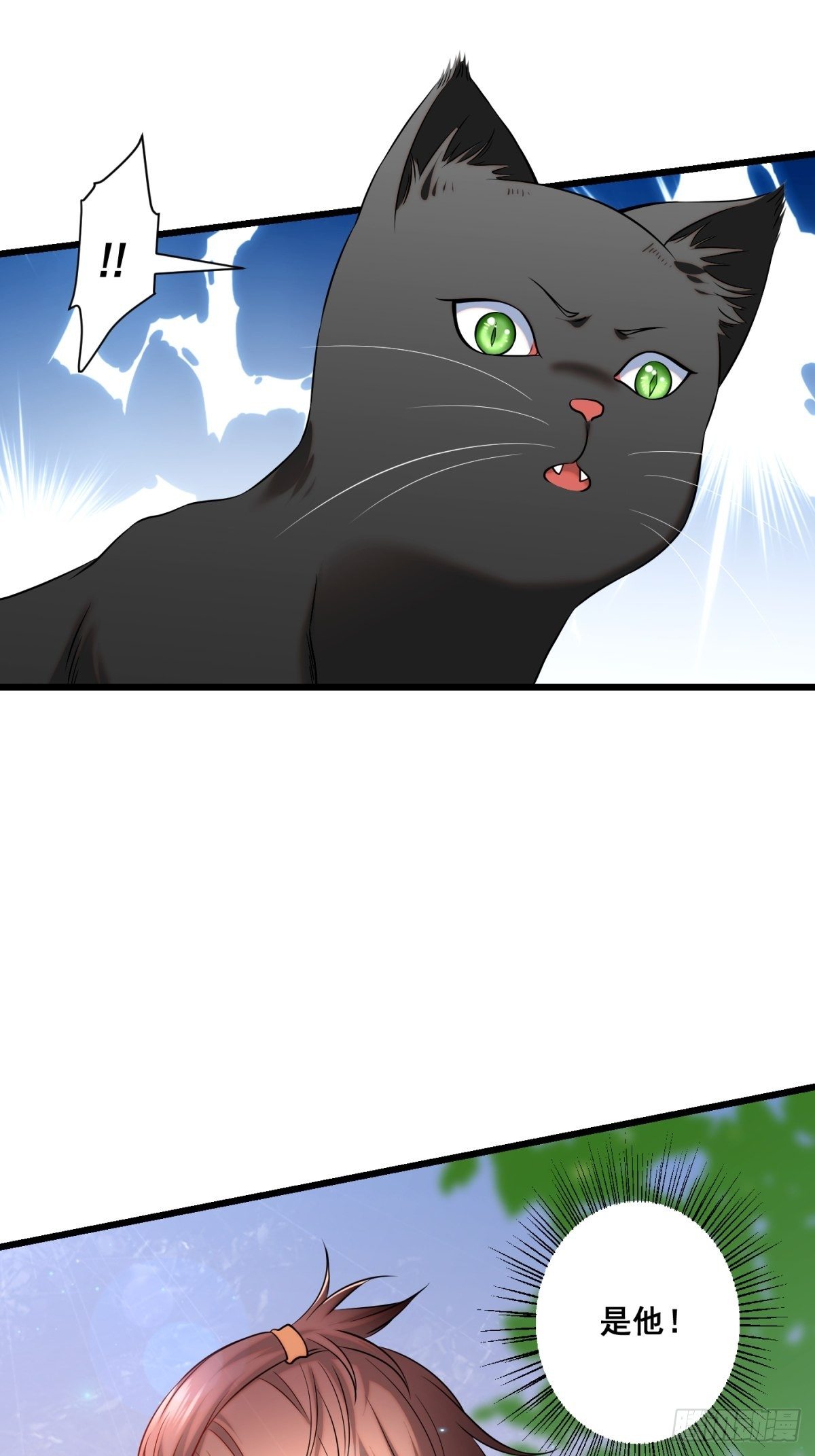 猫灵118