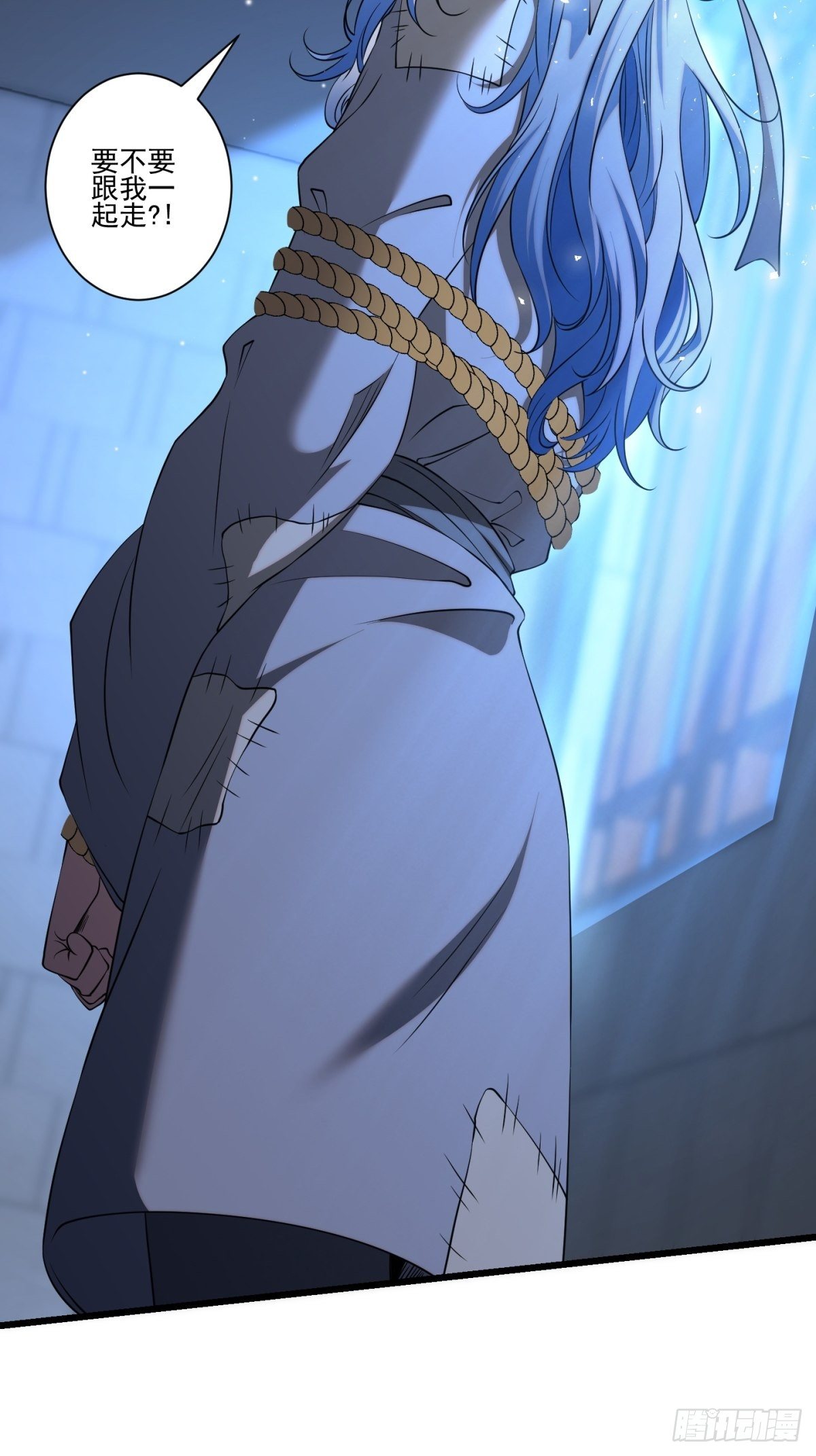猫灵1324
