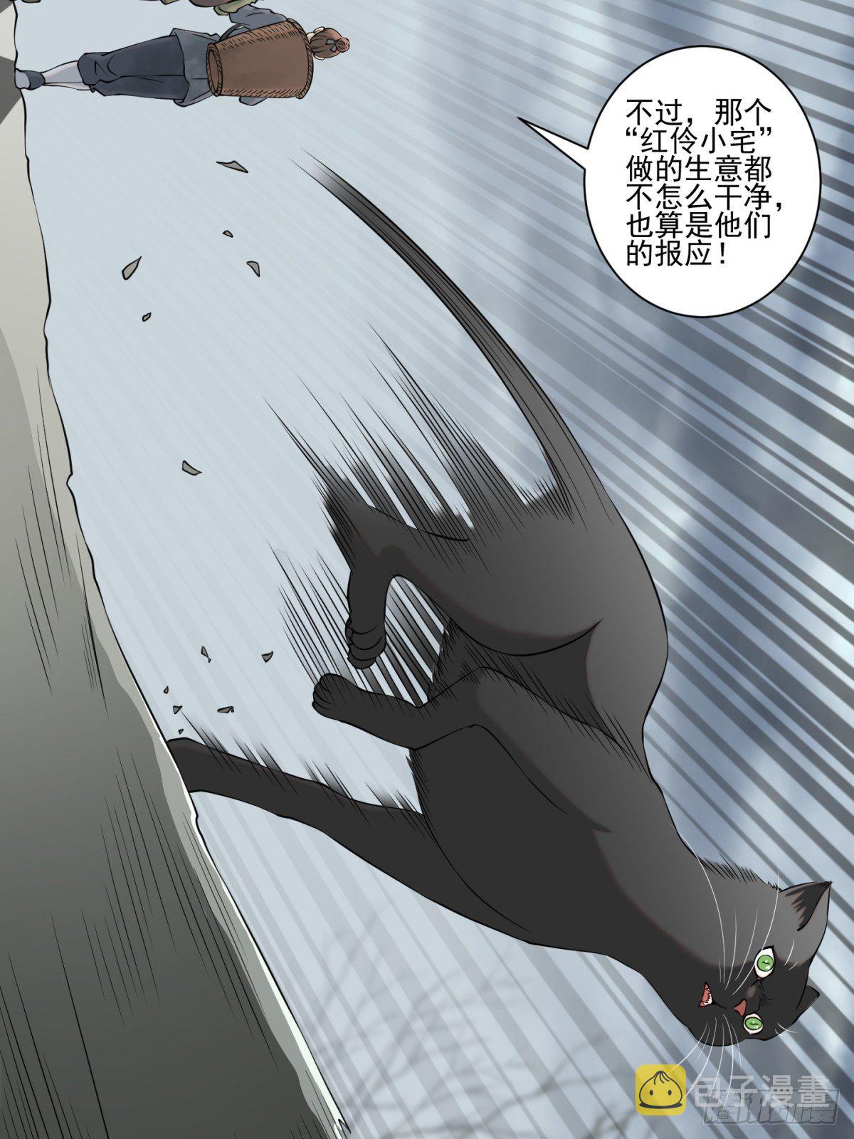 猫灵828