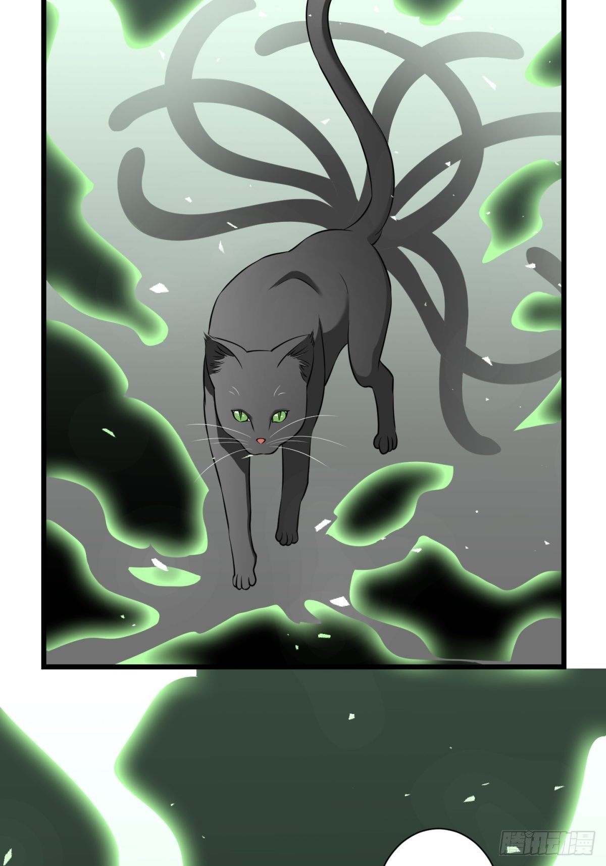 猫灵847