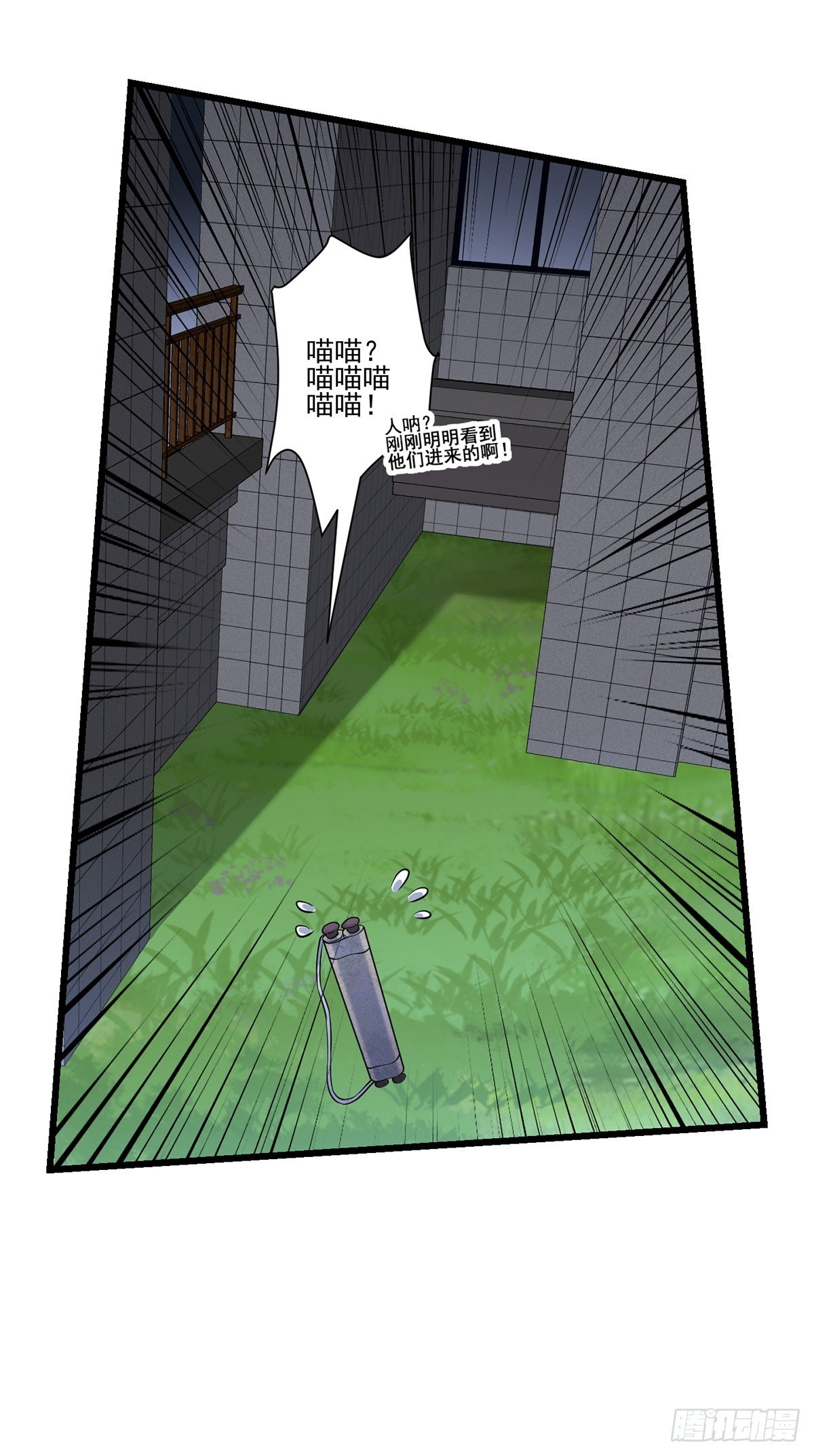 猫灵423