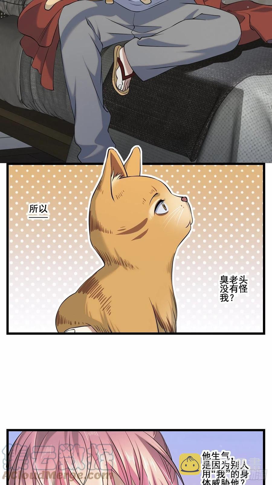 猫灵242