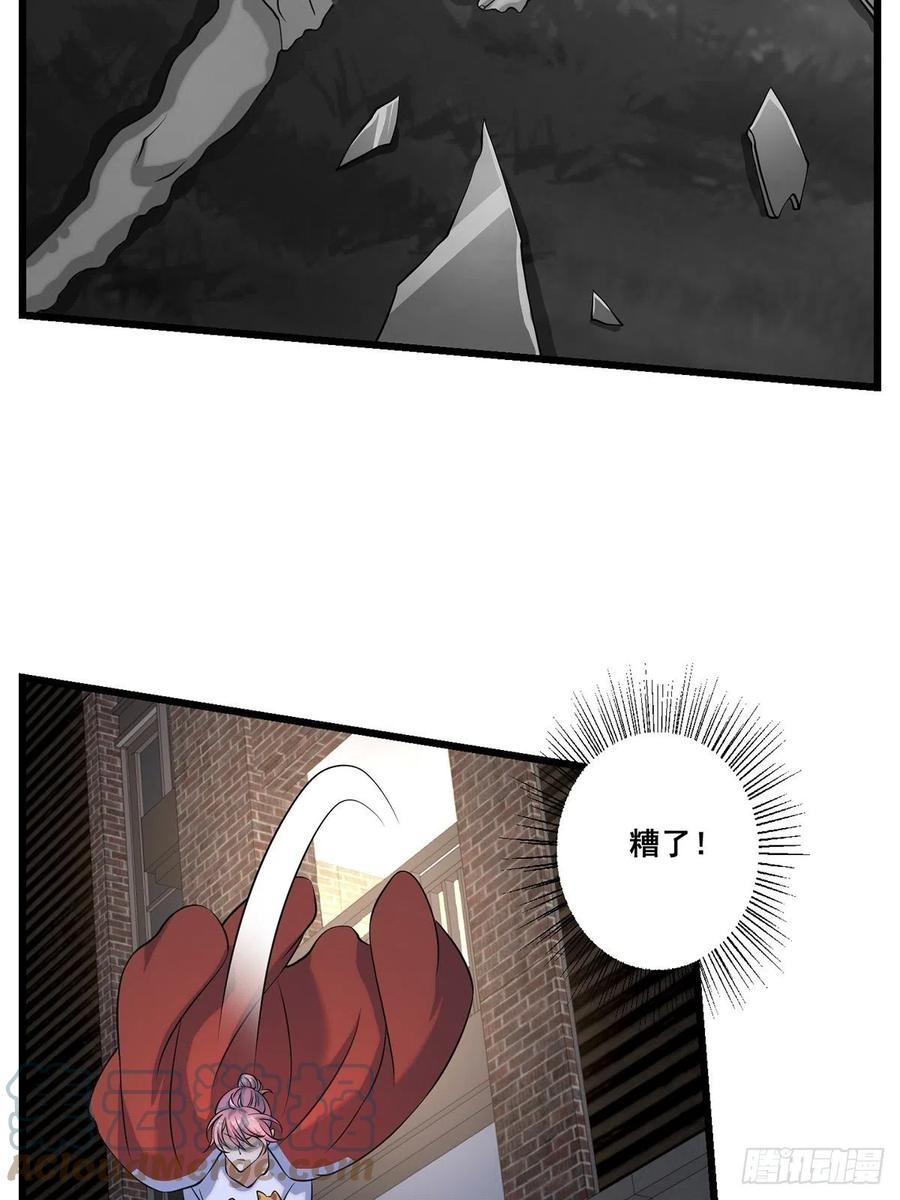 猫灵36