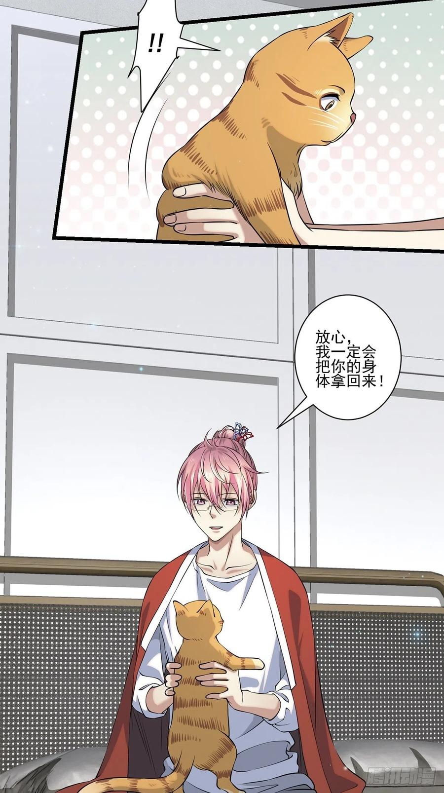 猫灵241