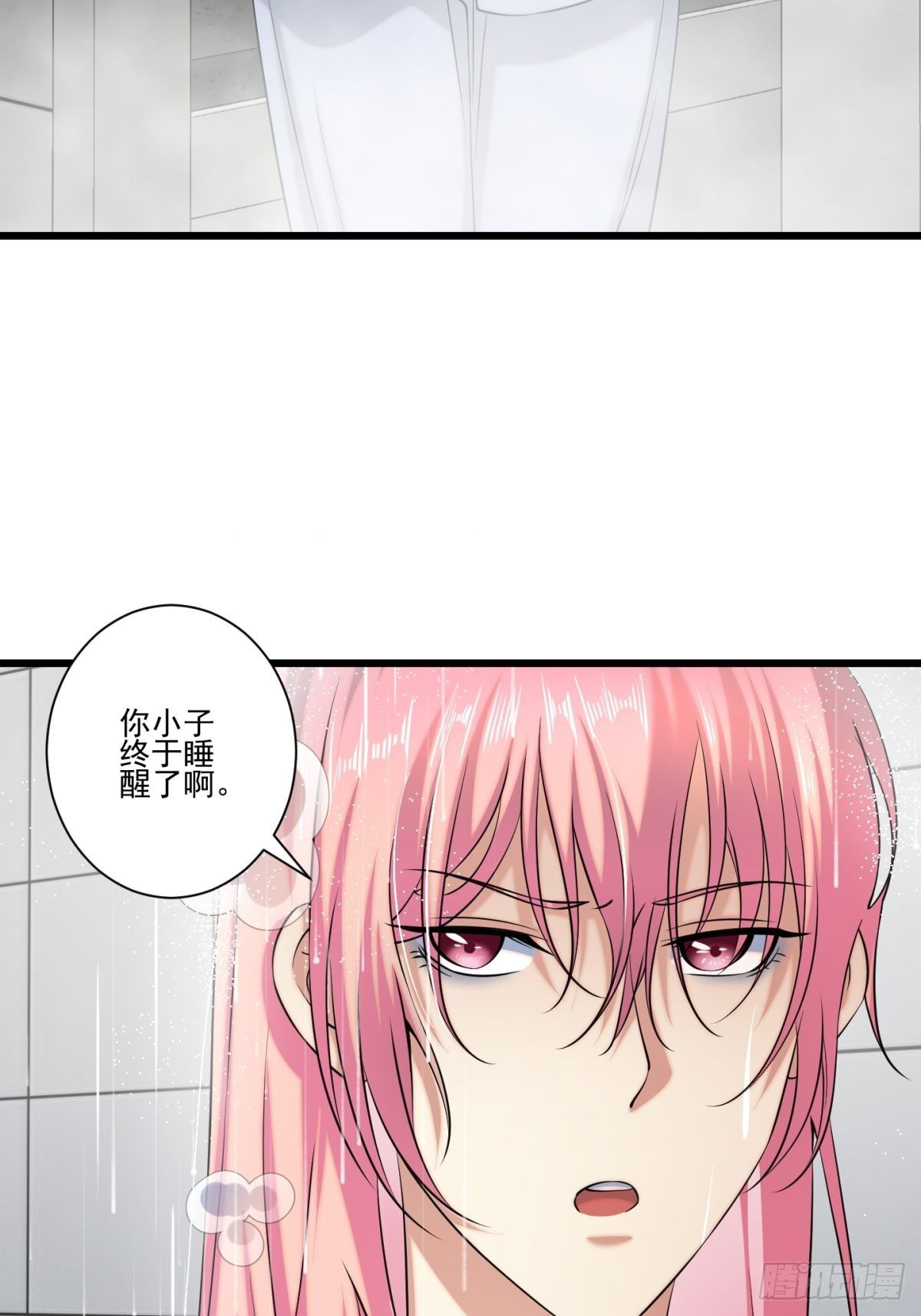 猫灵1137