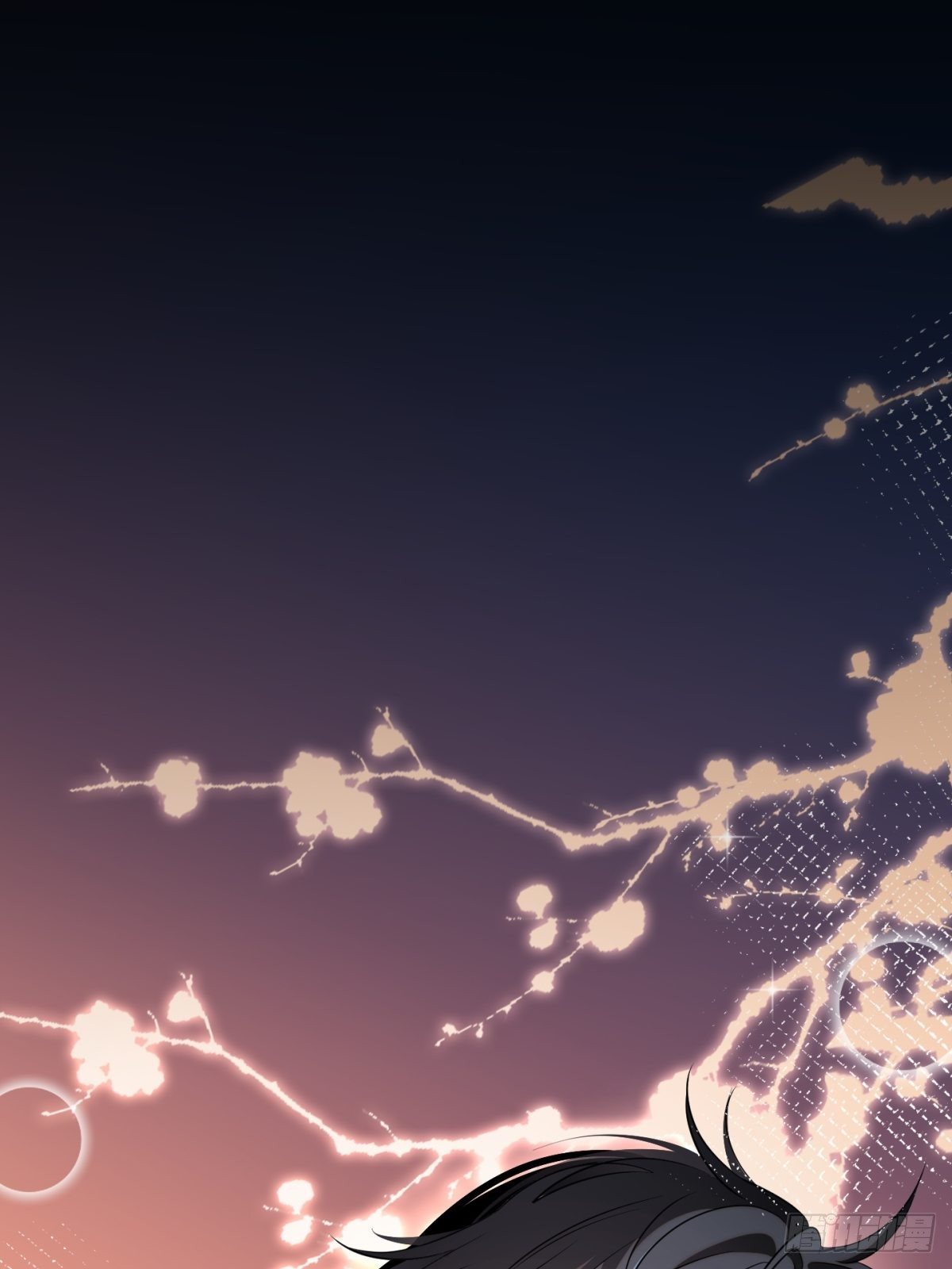 猫灵1611