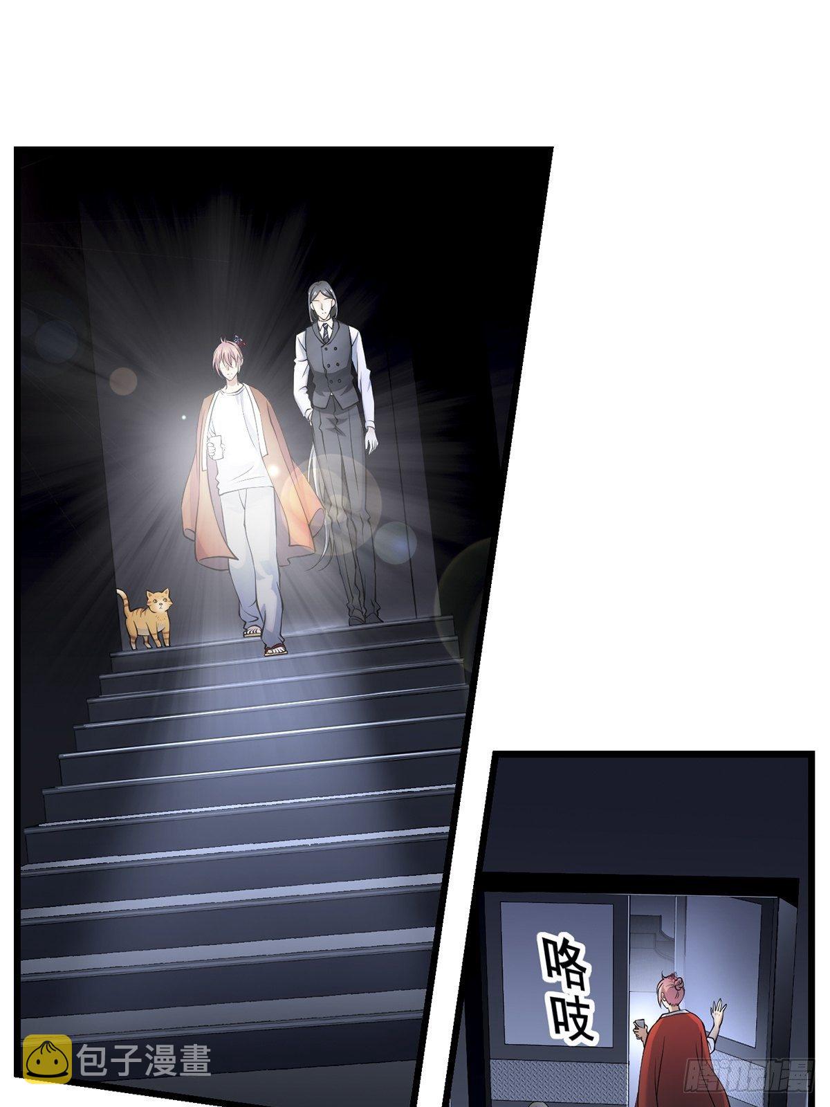 猫灵429