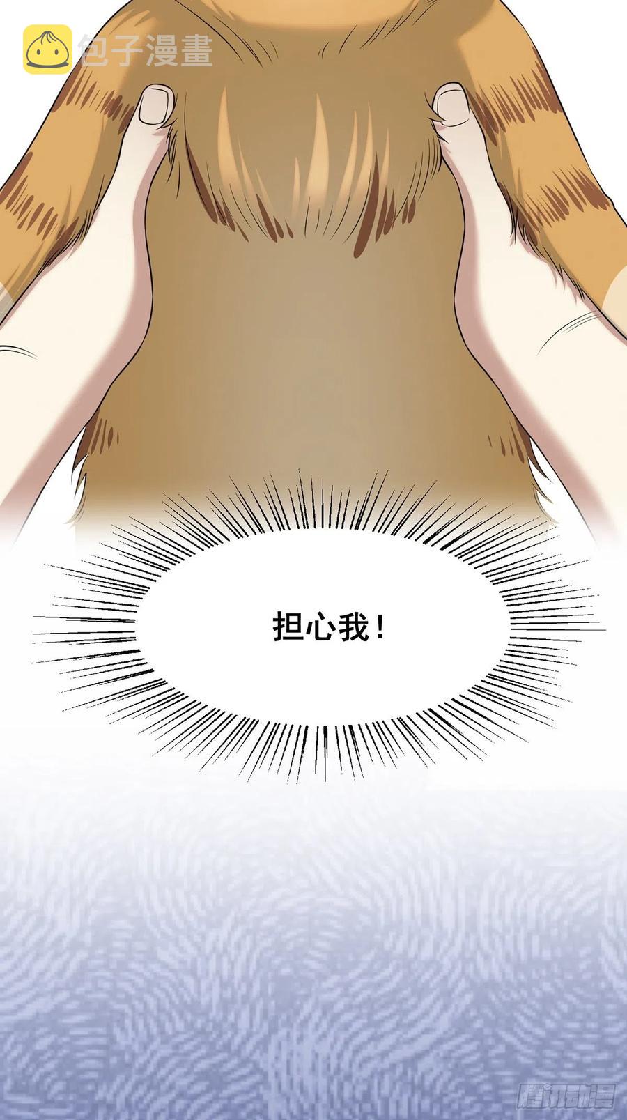 猫灵244