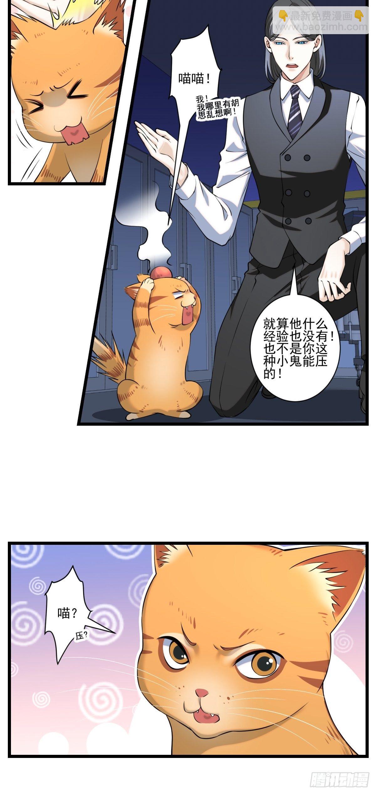 猫灵527