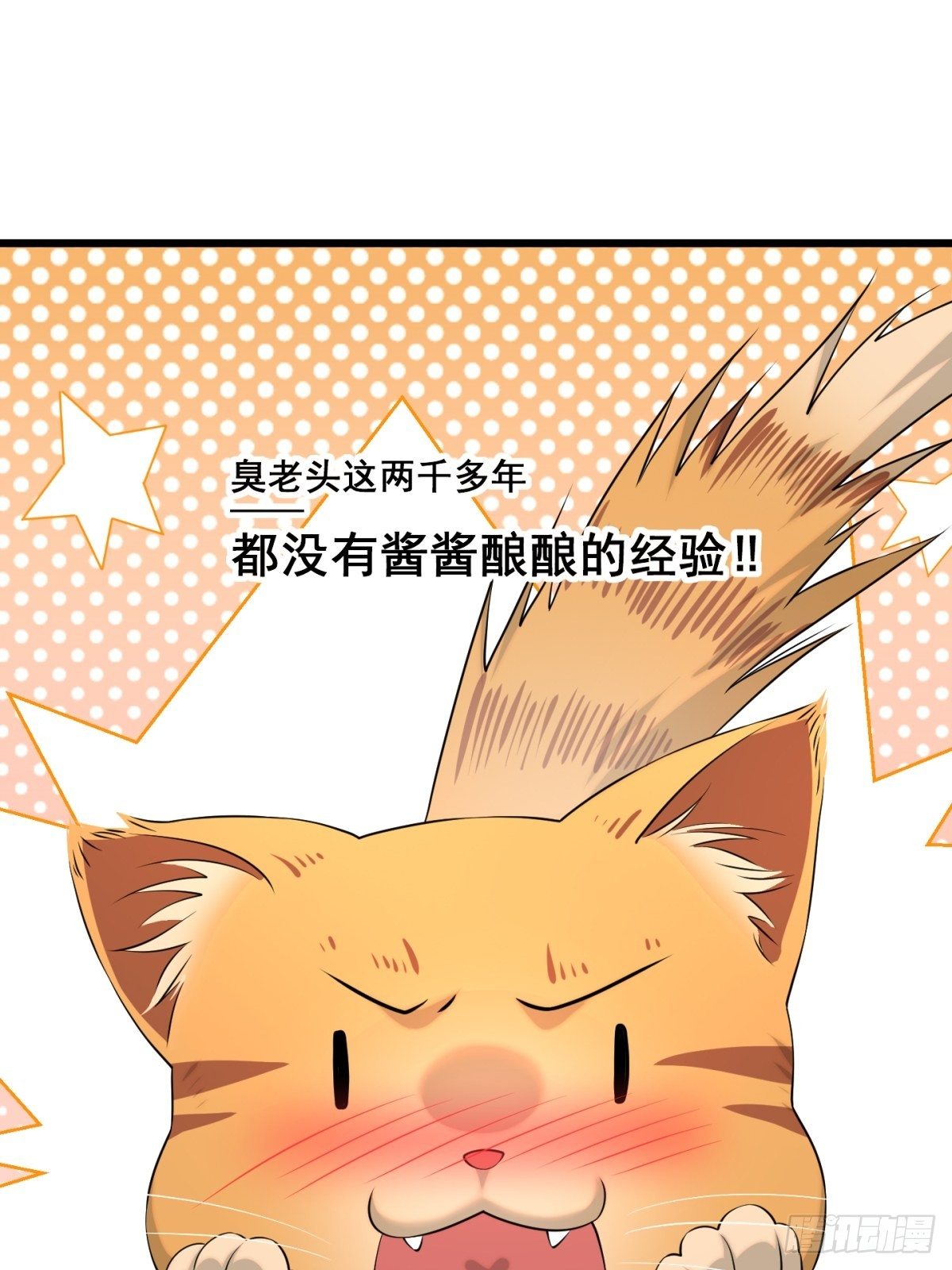 猫灵525