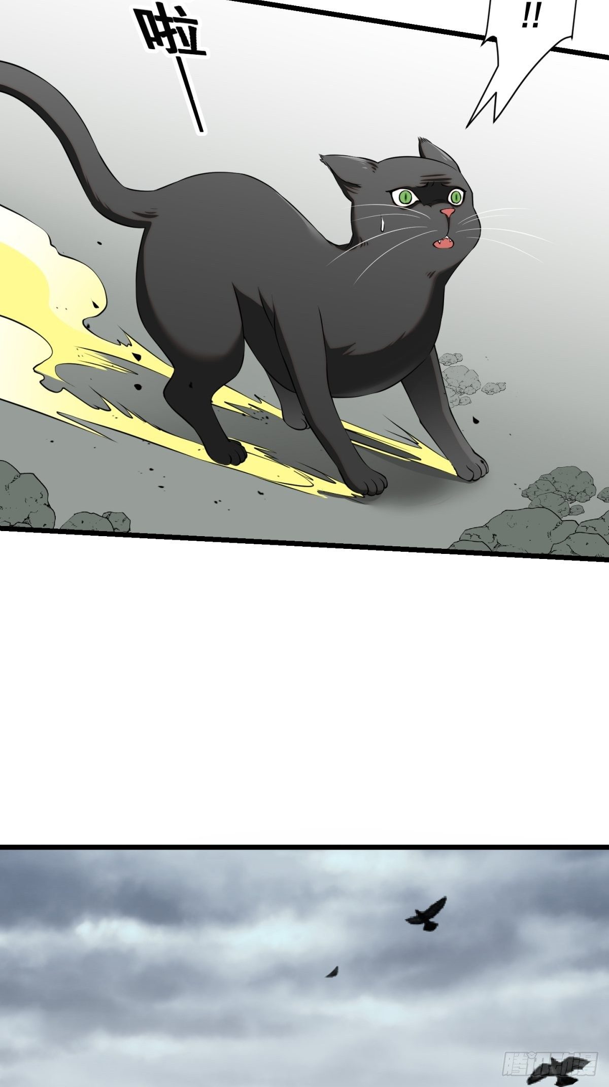 猫灵831