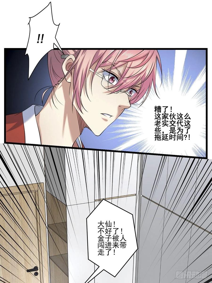 猫灵341
