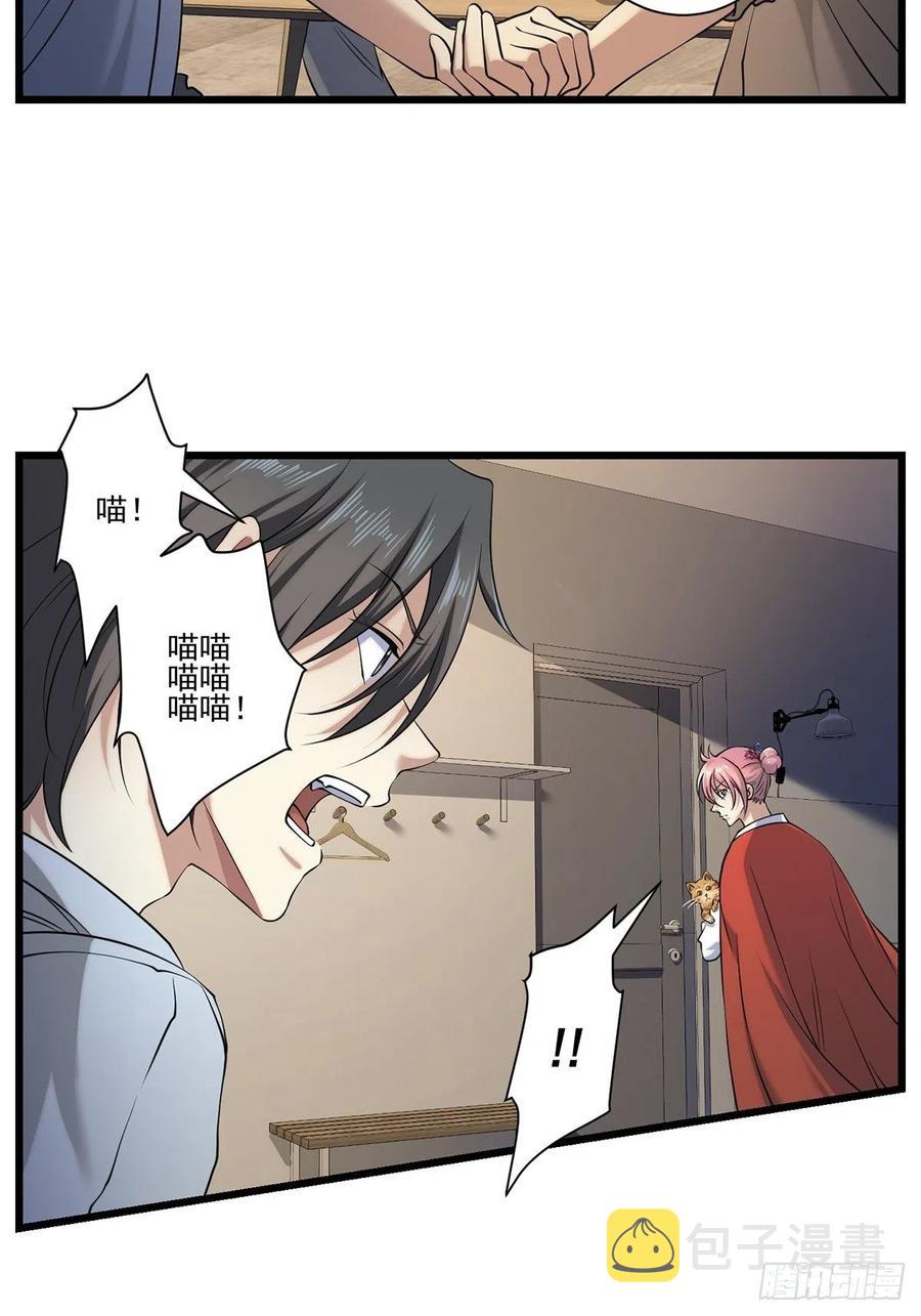 猫灵27