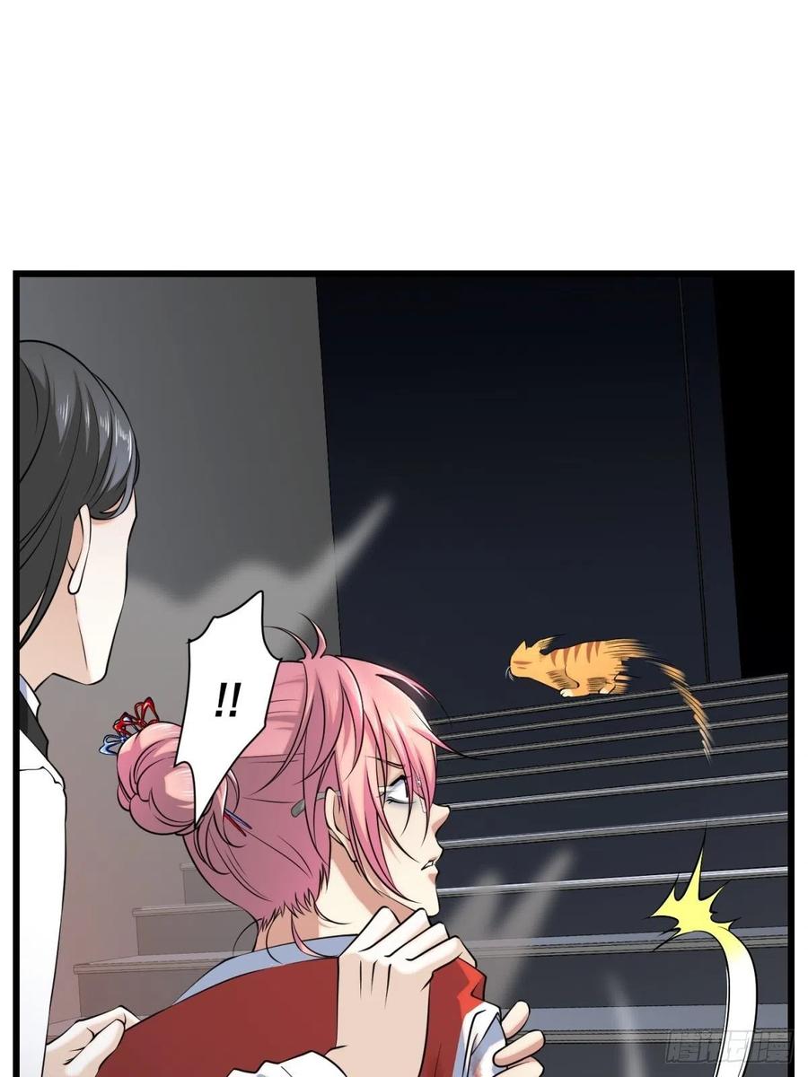 猫灵623