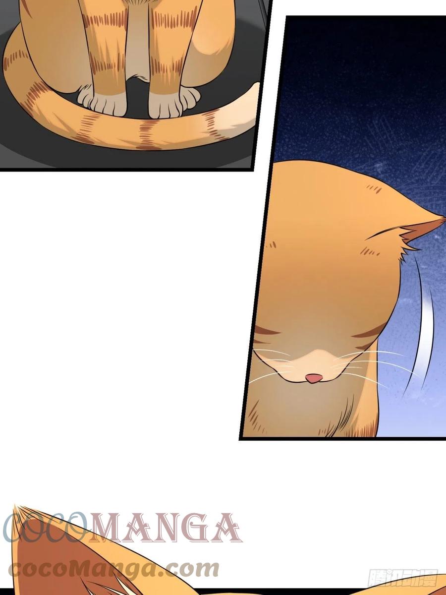 猫灵621