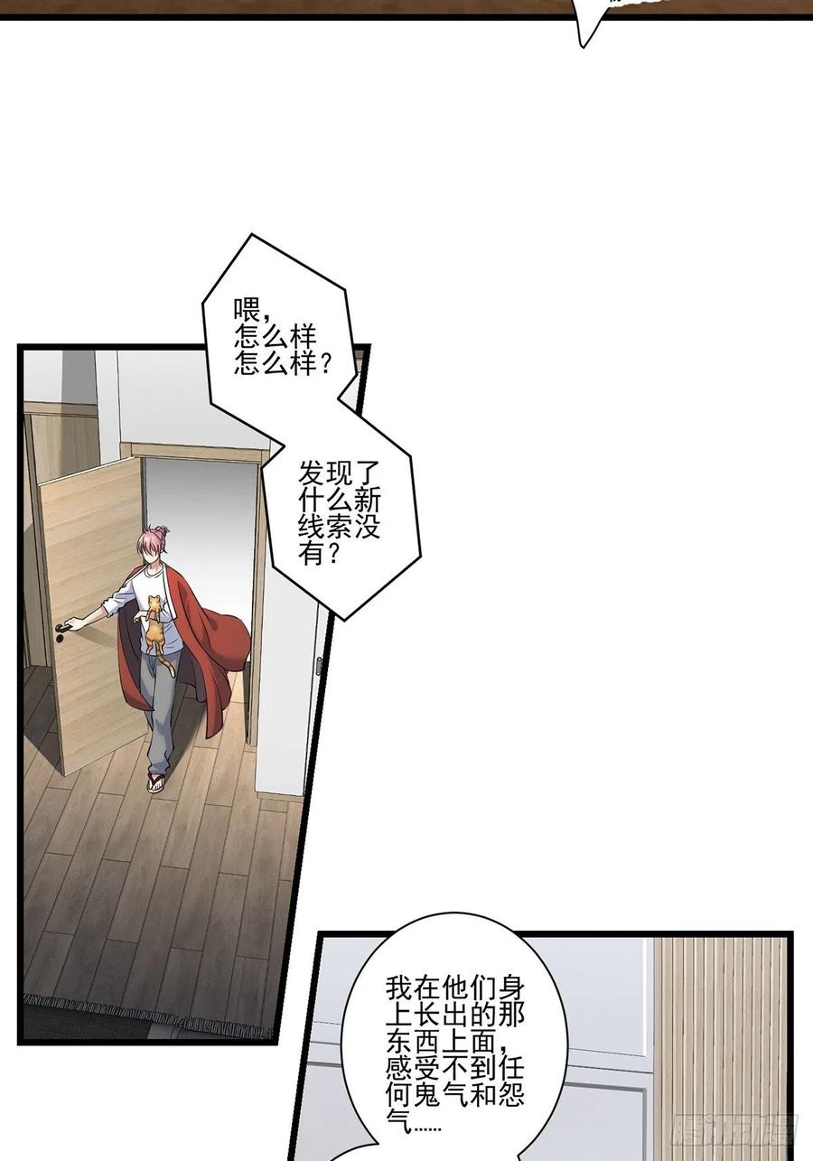 猫灵238