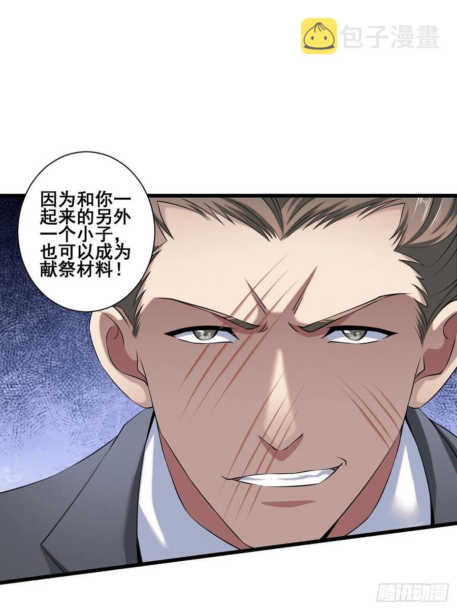 猫灵340