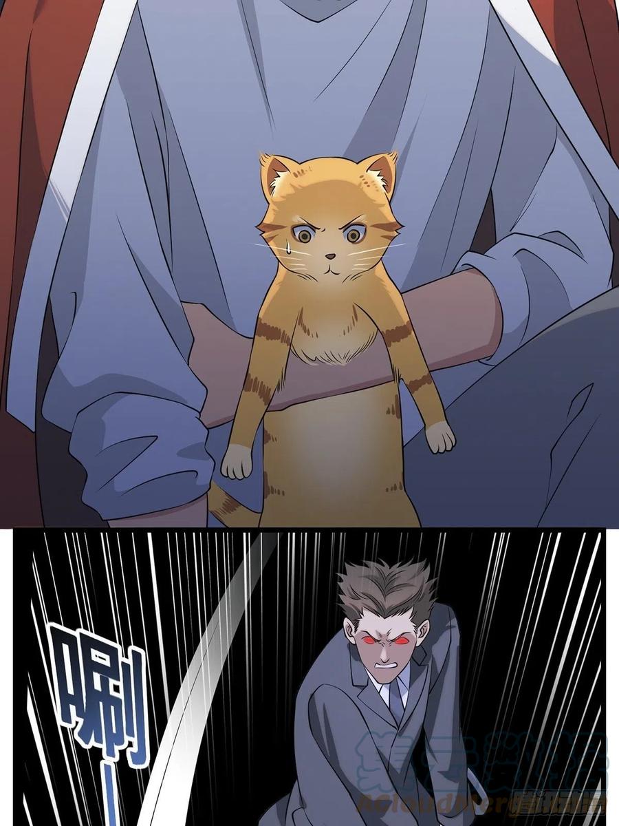 猫灵312