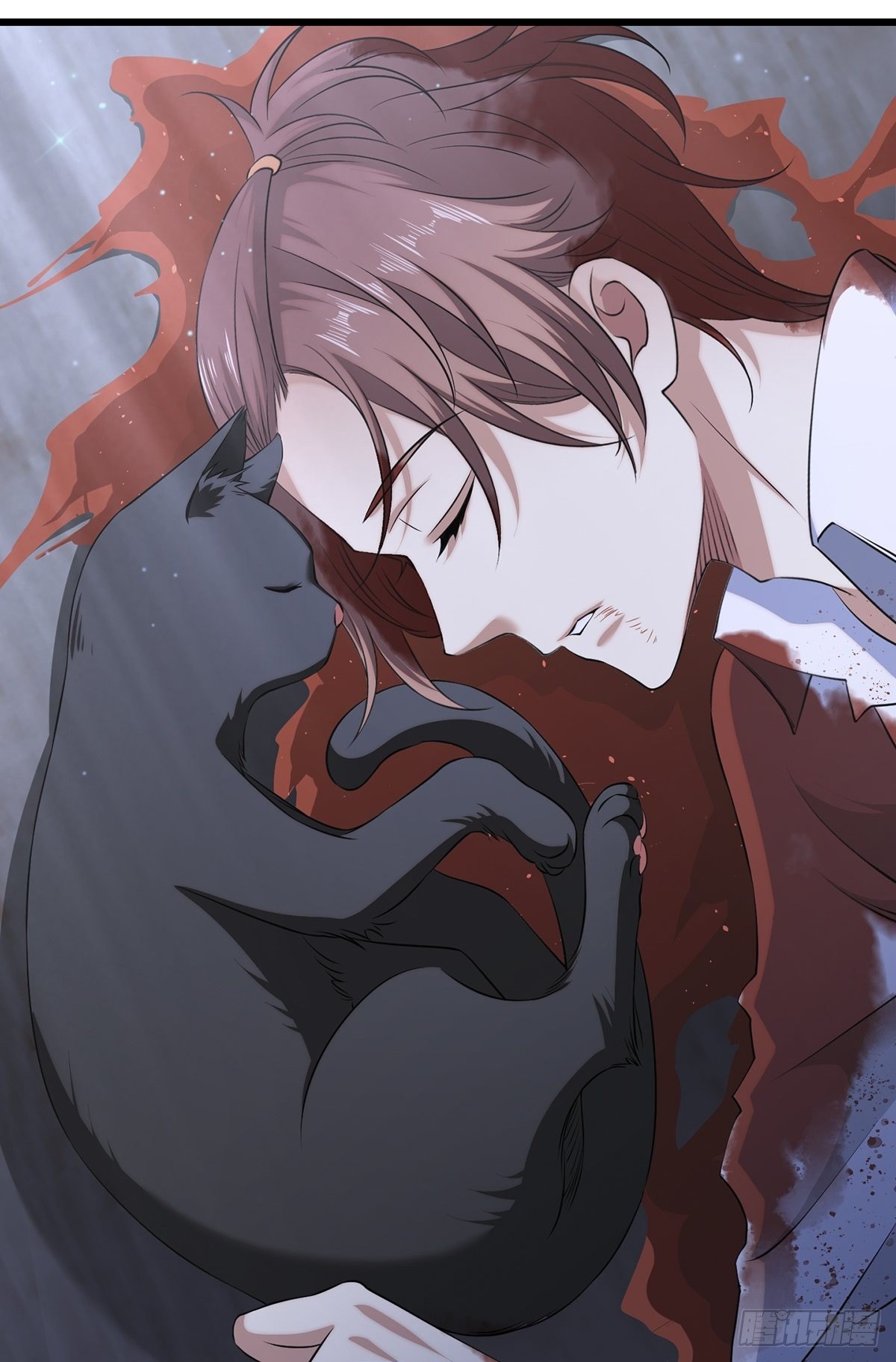 猫灵469
