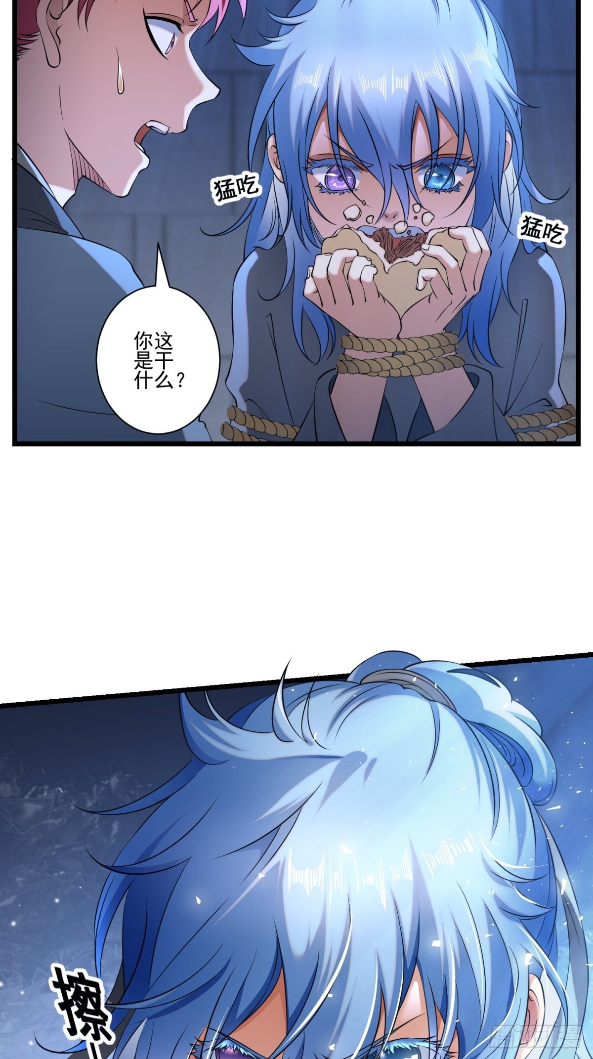 猫灵1321