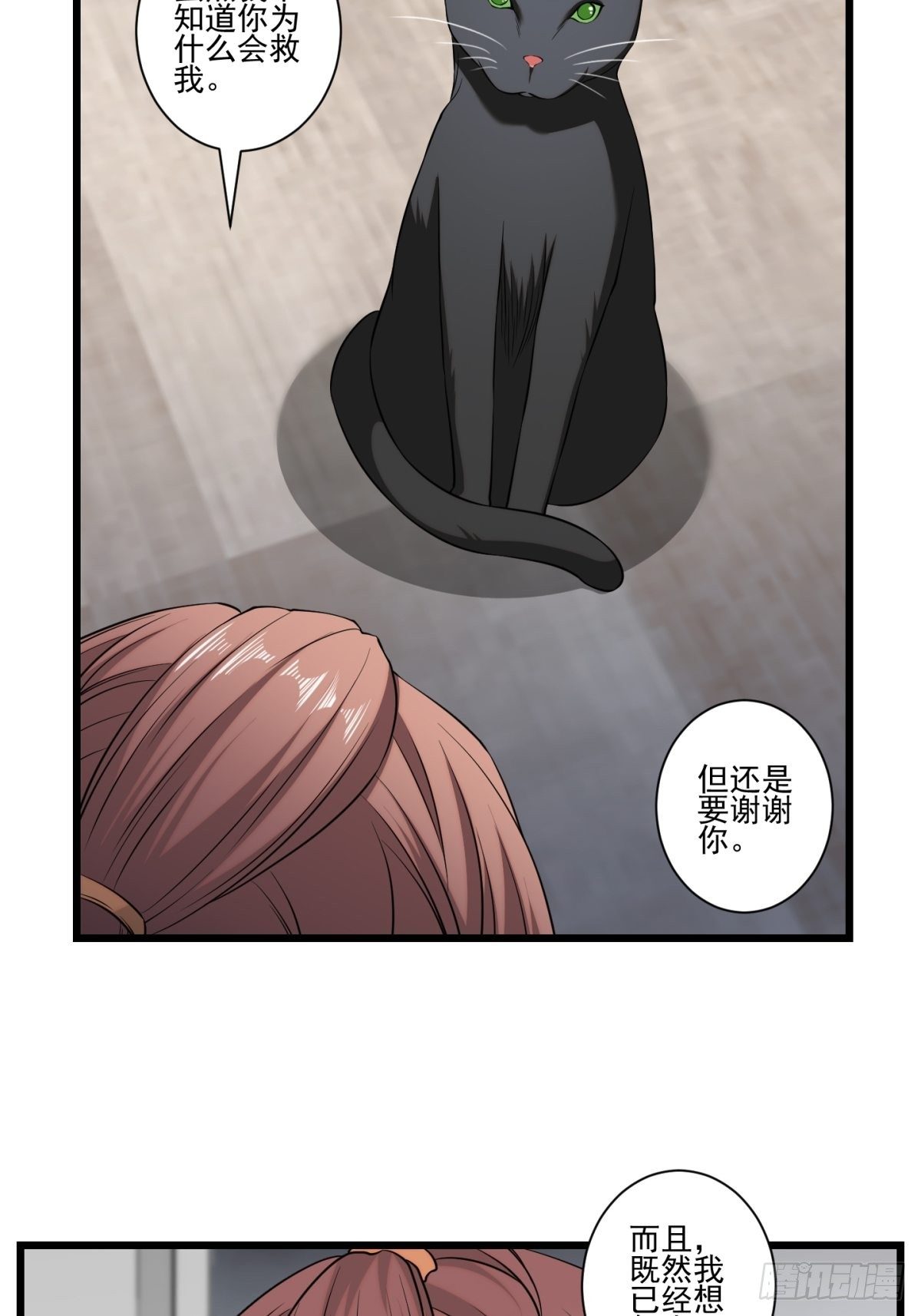 猫灵54