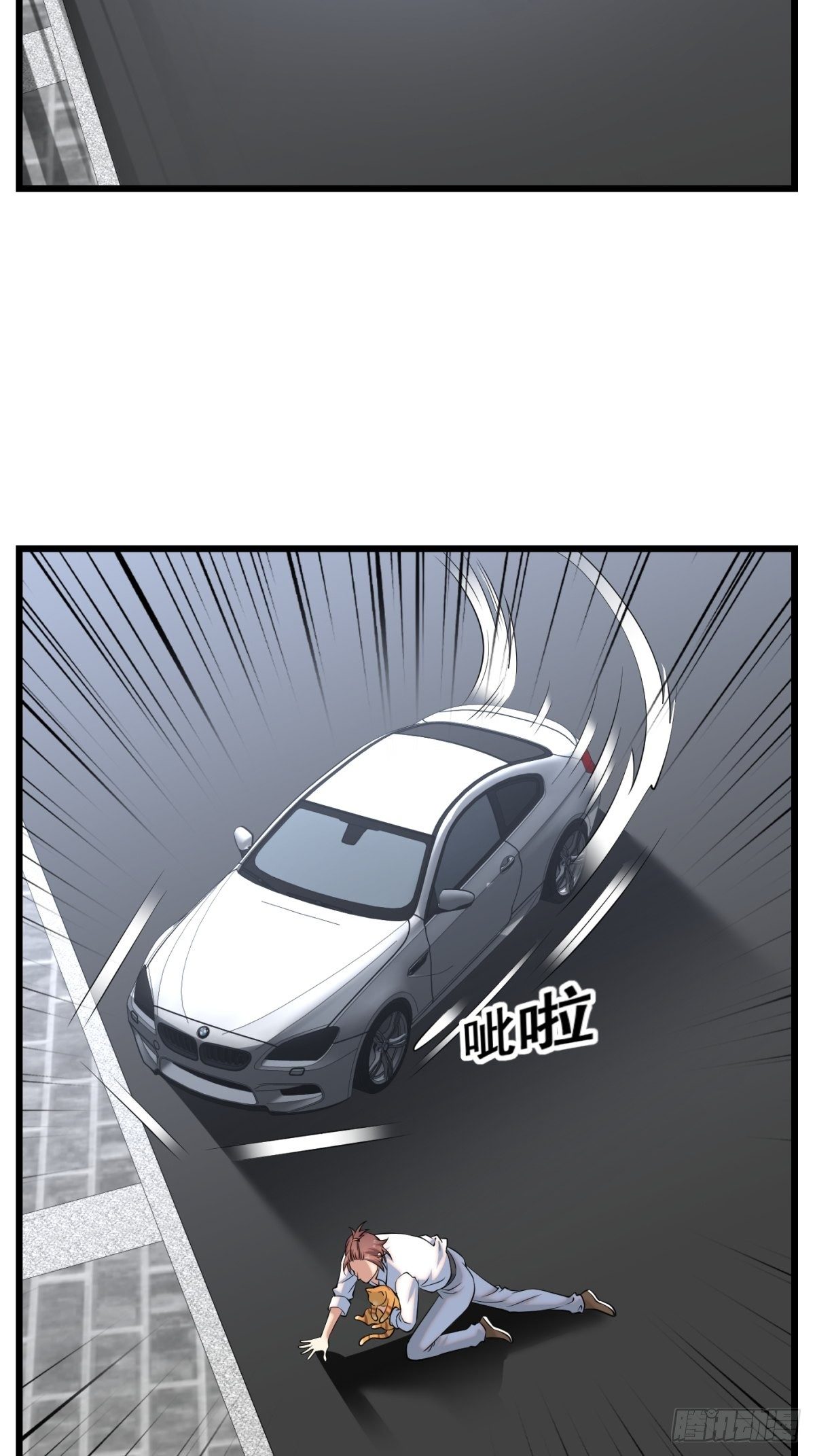 猫灵116