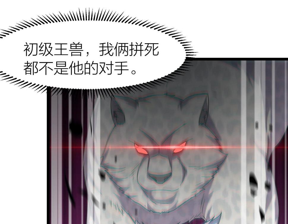 第13话 通灵武域4