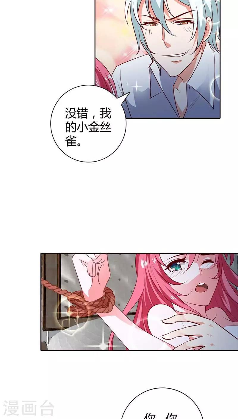 第74话 我的小金丝雀9