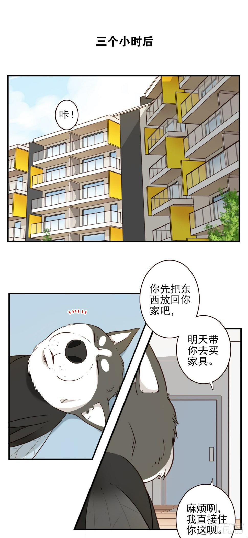 006-好丑的狗18