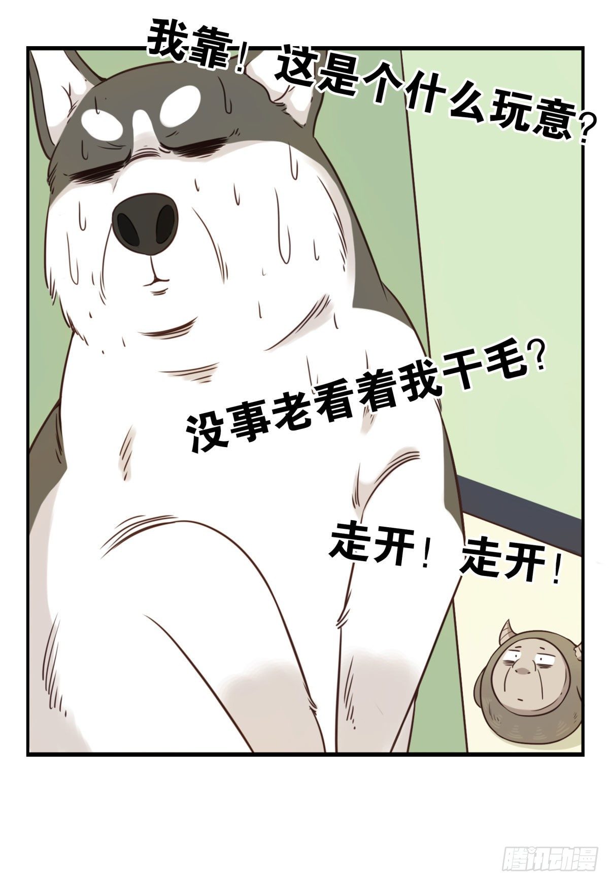 006-好丑的狗5