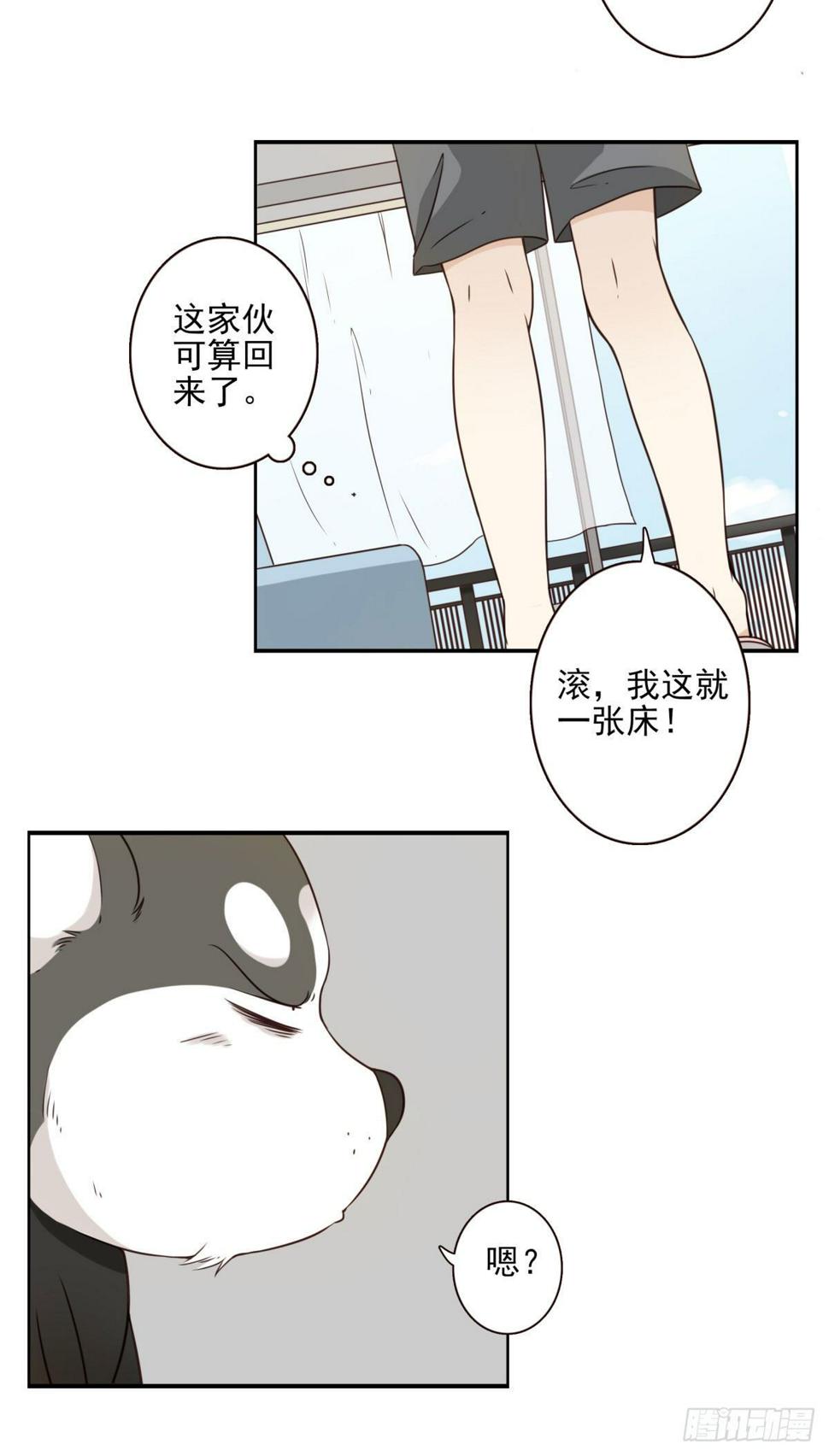 006-好丑的狗19