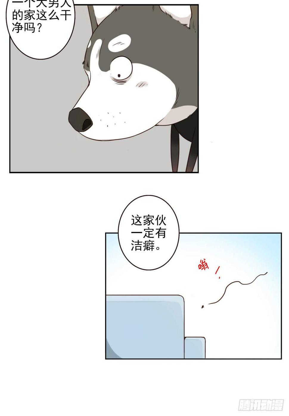 006-好丑的狗16