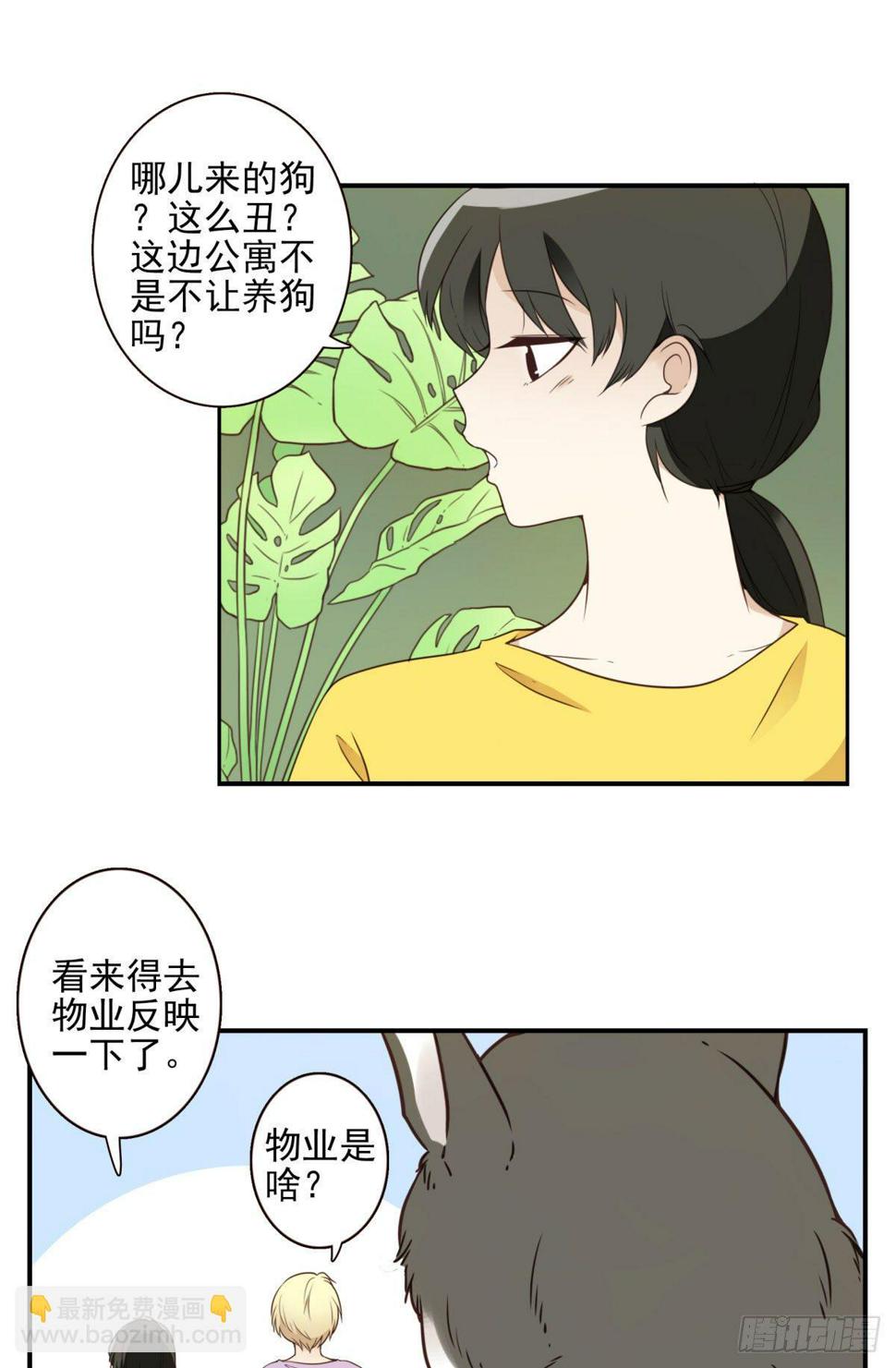 006-好丑的狗7