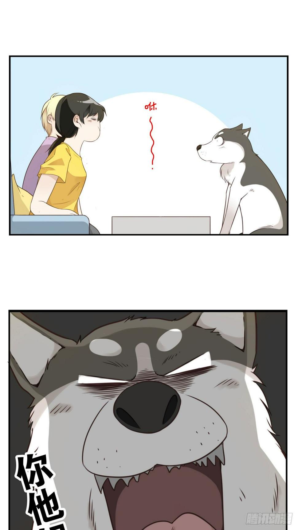 006-好丑的狗36